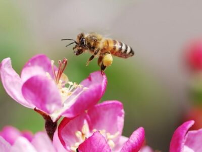 bd6878db-58be-4f46-b32f-e15c6f366c82