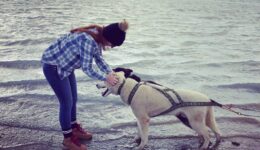 person bends to pet dog