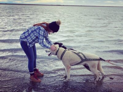 person bends to pet dog