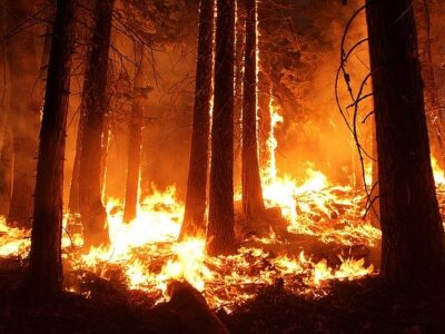 wildfire-1105209_640
