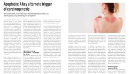 Apoptosis and Human Sunburn Cycle studies and solution recognized