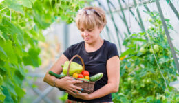 Bring on the greenery for wellness in winter