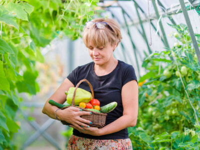 Bring on the greenery for wellness in winter