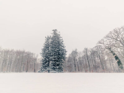 Moondust Holiday Message