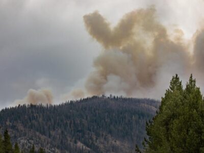 Self-Care at Forest Fire Season Plus Coronavirus Concerns