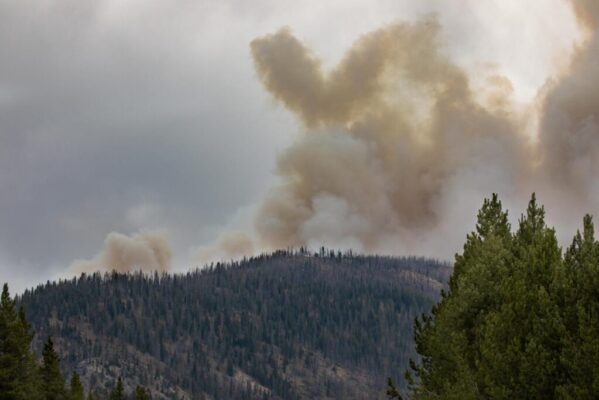Self-Care at Forest Fire Season Plus Coronavirus Concerns