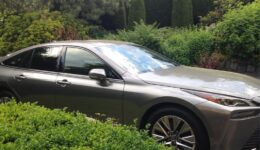 Moondust Cosmetics® Extends Its Environmental Effort with Electro-mobility