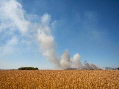 Climate-Change Wildfires and Air Pollution Discussed by Dr. Moondust
