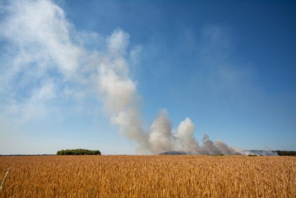 Climate-Change Wildfires and Air Pollution Discussed by Dr. Moondust