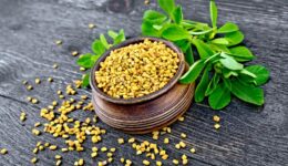   Moondust Ushers Winter Out with Fenugreek Spice & All Things Nice