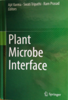 Plant Microbe Interface