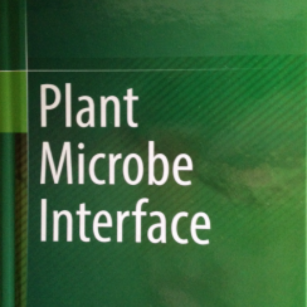 Plant Microbe Interface