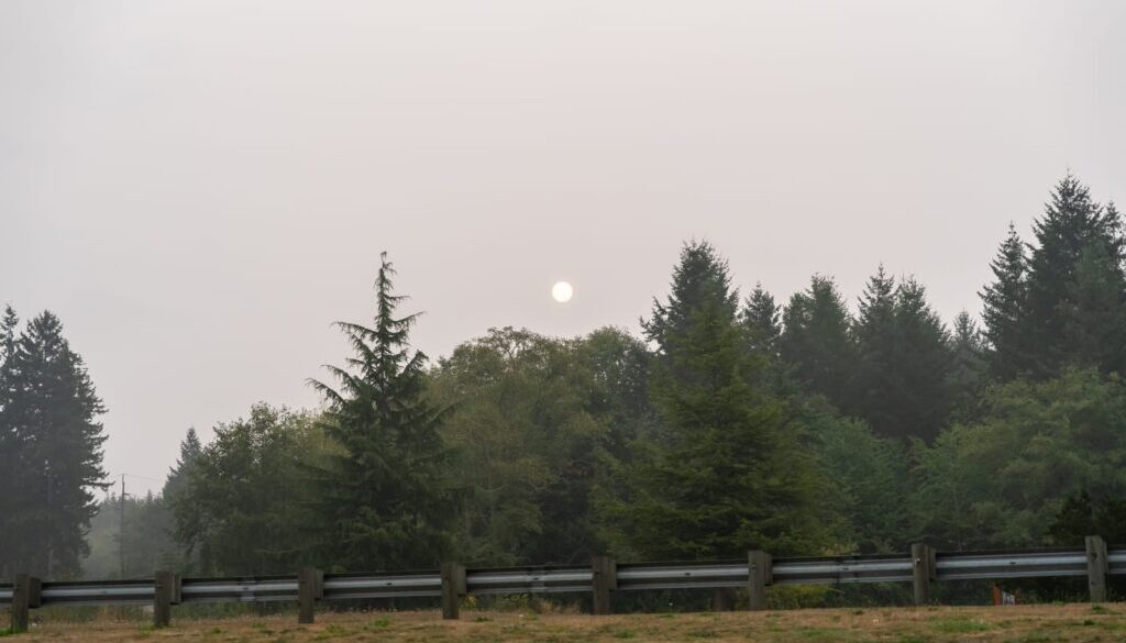 Survive Wildfire Smoke Season in B.C. Protect Your Health and Skin from the Inside Out Survive Wildfire Smoke Season in B.C. Protect Your Health and Skin from the Inside Out