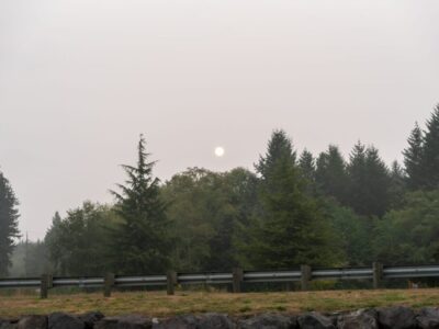 Survive Wildfire Smoke Season in B.C. Protect Your Health and Skin from the Inside Out