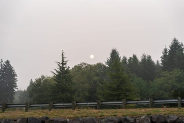 Survive Wildfire Smoke Season in B.C. Protect Your Health and Skin from the Inside Out