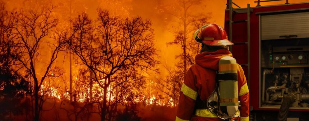 Wildfire Season Reveals the Link between Pollution, Cell Damage, and Cancer Prevention