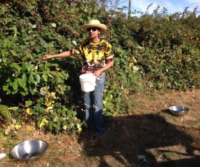 Dr. Moondust in the family garden harvesting berries for home made preserves.