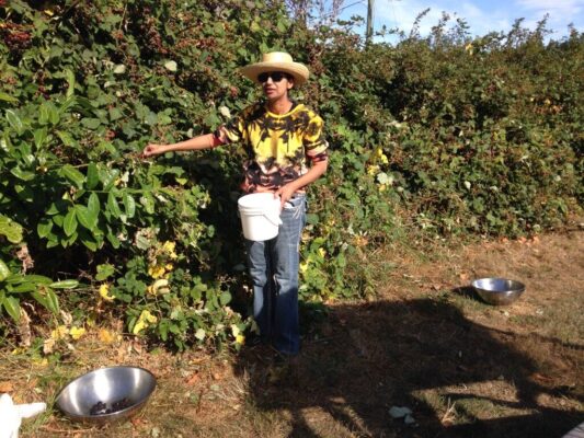 Dr. Moondust in the family garden harvesting berries for home made preserves.