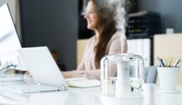 November Refresh How Cleaner Indoor Air Supports Heart, Brain, and Immune Health 