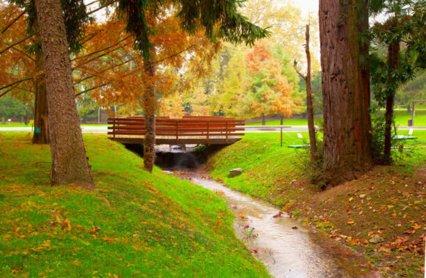 Moondust Peace Concert: A Tribute to Forest Life — Winter Edition 