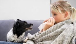  Flu Season Hit Japan Early and Hard — Local Lessons and Tips for Us   