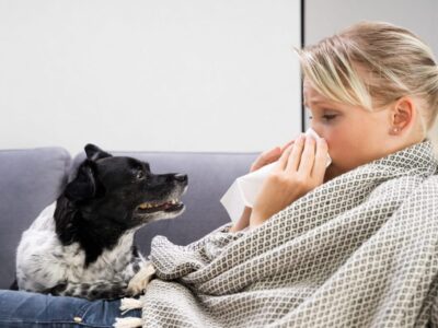  Flu Season Hit Japan Early and Hard — Local Lessons and Tips for Us   