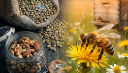 World Bee Day Honey, Glyphosate